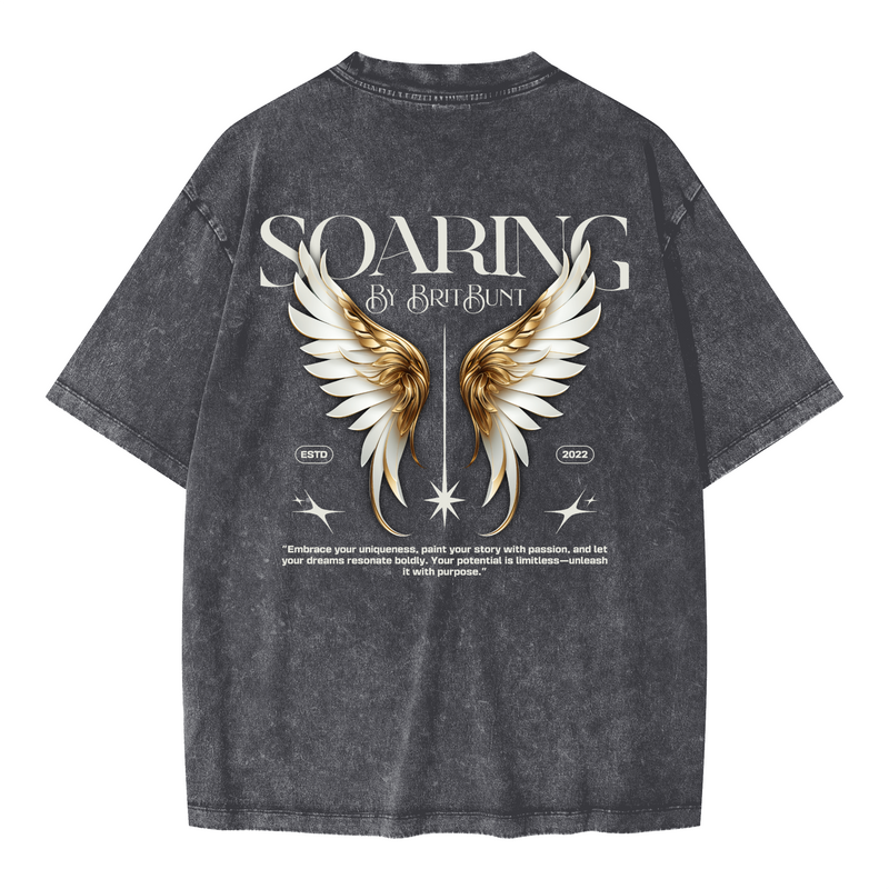 Soaring Oversized Snow Wash T-shirt