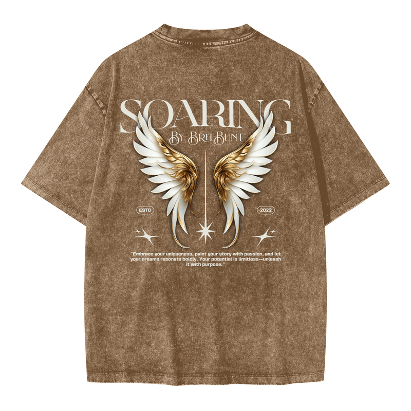 Soaring Oversized Snow Wash T-shirt