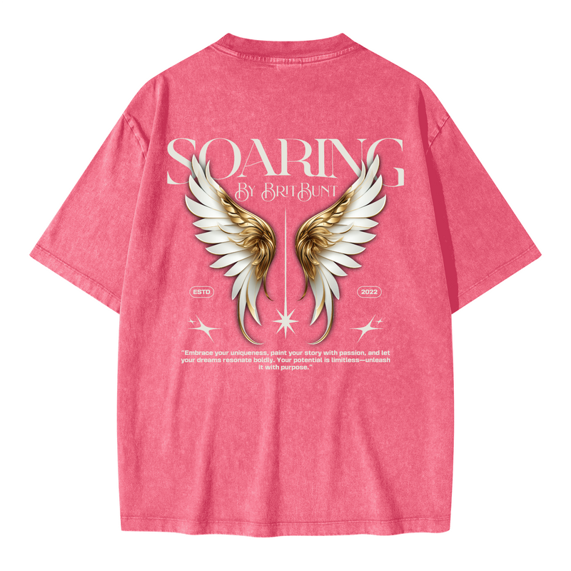 Soaring Oversized Snow Wash T-shirt