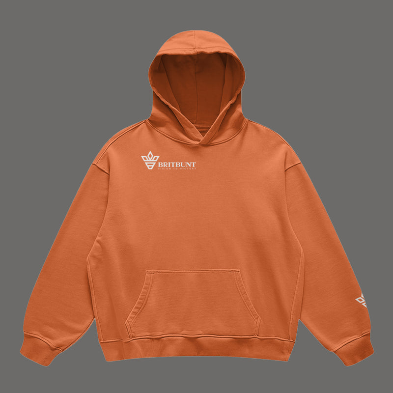 v2v White logo Hoodie