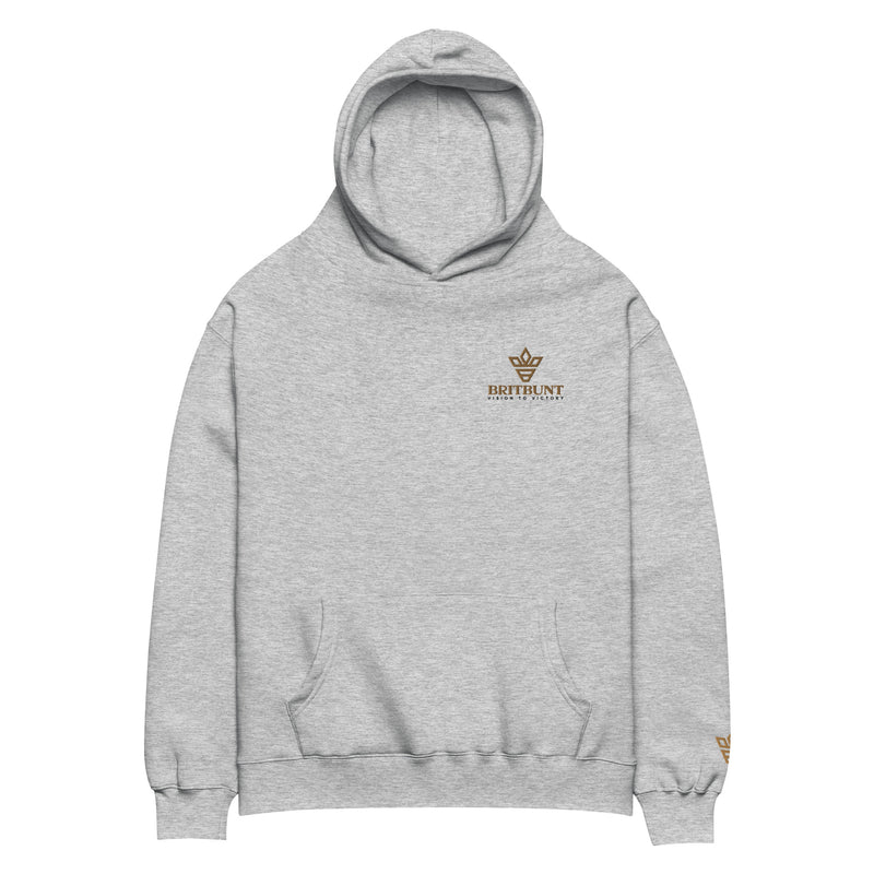 Iconic Oversized Hoodie Embroidery